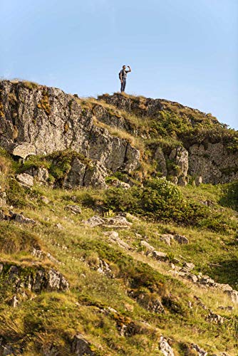 CamelBak Octane 10 70 oz Hydration Pack