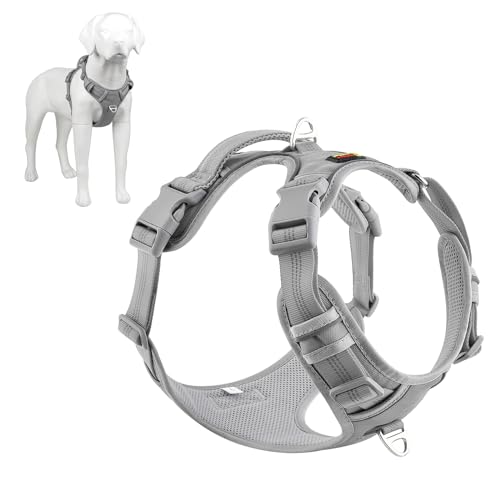 Plutus Pet No Pull Dog Harness, Release At Neck, Reflective Adjustable Dog Vest Harness, Easy Control Handle for Walking, for Small Medium Large Dogs, Cyan, M