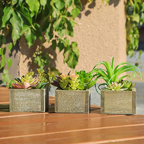 Mingfuxin Artificial Succulents Plants, Mini Assorted Green Fake Plants in Pots, Small Succulents Plants Artificial with Wood Potted for Bathroom Home Office Living Room Table Decor Indoor, Set of 3