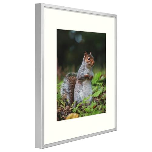 Golden State Art, 13X19 Metal Picture Frames with Ivory Color Mat, Fit for 11X17 Picture or 13X19 Poster- 13x19 Inch Aluminum Frames with Real Glass- Gallery Wall Frame Set (Black, 3 Pack)