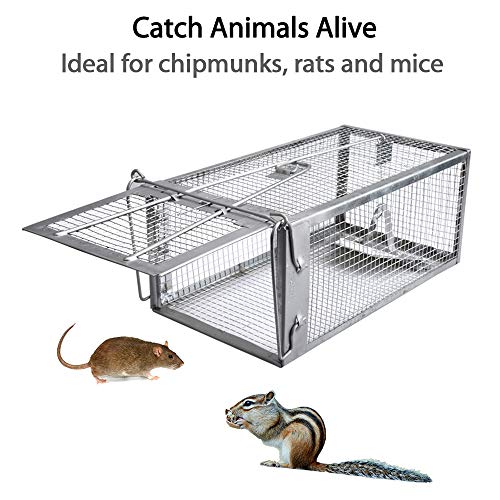 Live Chipmunk Trap Humane Rat Mouse Cage Trap
