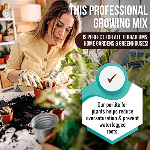 Compressed 3 Coco Coir Bricks for vibrant plants, low EC & pH, ideal for herbs & flowers. includes 1 Perlite bag (0.6 LB). High expansion, organic, 1.4 lbs each.