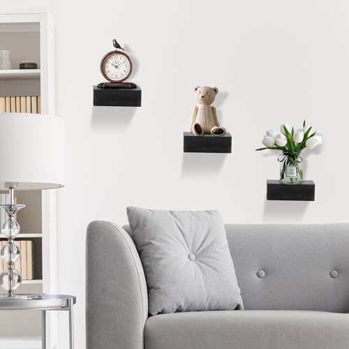 Small Floating Shelf for Wall,5 Inch Mini Wall Shelf,Display Plant Collectibles for Kitchen Bathroom Bedroom Living Room(Black)