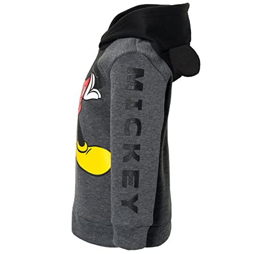 Disney Mickey Mouse Winnie the Pooh Tigger Fleece Cosplay Pullover Hoodie Infant to Big Kid