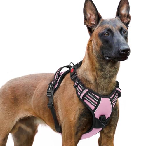 rabbitgoo Dog Harness for Large, No Pull Pet Harness with 3 Buckles, Adjustable Soft Padded Dog Vest with Instant Control Handle, Easy Walking Reflective Pet Vest for Large Dogs, Black, L