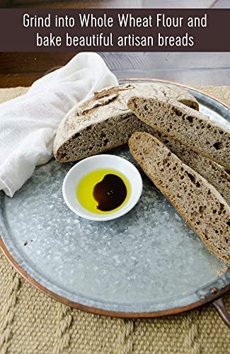 Hard Red Winter Wheat Berries | 5 LBS | Family Farmed in Washington State | Non-GMO Project Verified | 100% Non-Irradiated | Certified Kosher Parve | Field Traced | Burlap Bag