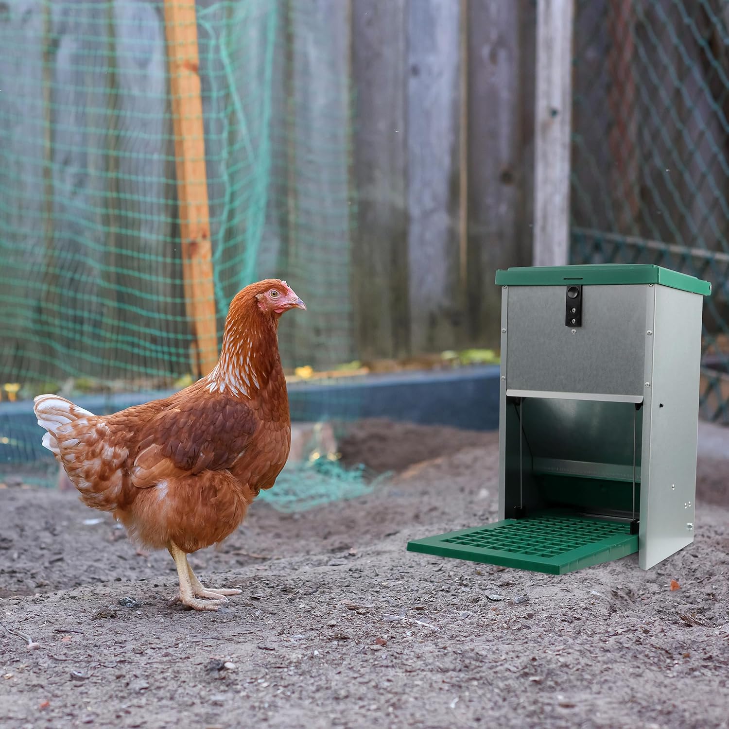 Chicken Treadle Feeder - 17.6 lb. Capacity, Pressure Lever Automatic Chicken Feeder System, Pest Proof