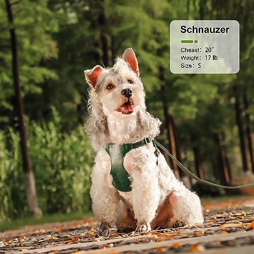 Didog No Pull Dog Harness for Small Dogs, Soft & Lightweight Small Dog Harness and Leash Set, Durable & Adjustable Leather Dog Harness Medium Size Dog, Brown, M