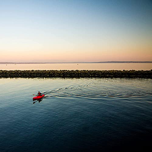 Fit Unisex Adult Life Jacket PFD - Coast Guard Approved, Easily Adjustable for Full Mobility, Lightweight, PVC Free | Universal and Oversize
