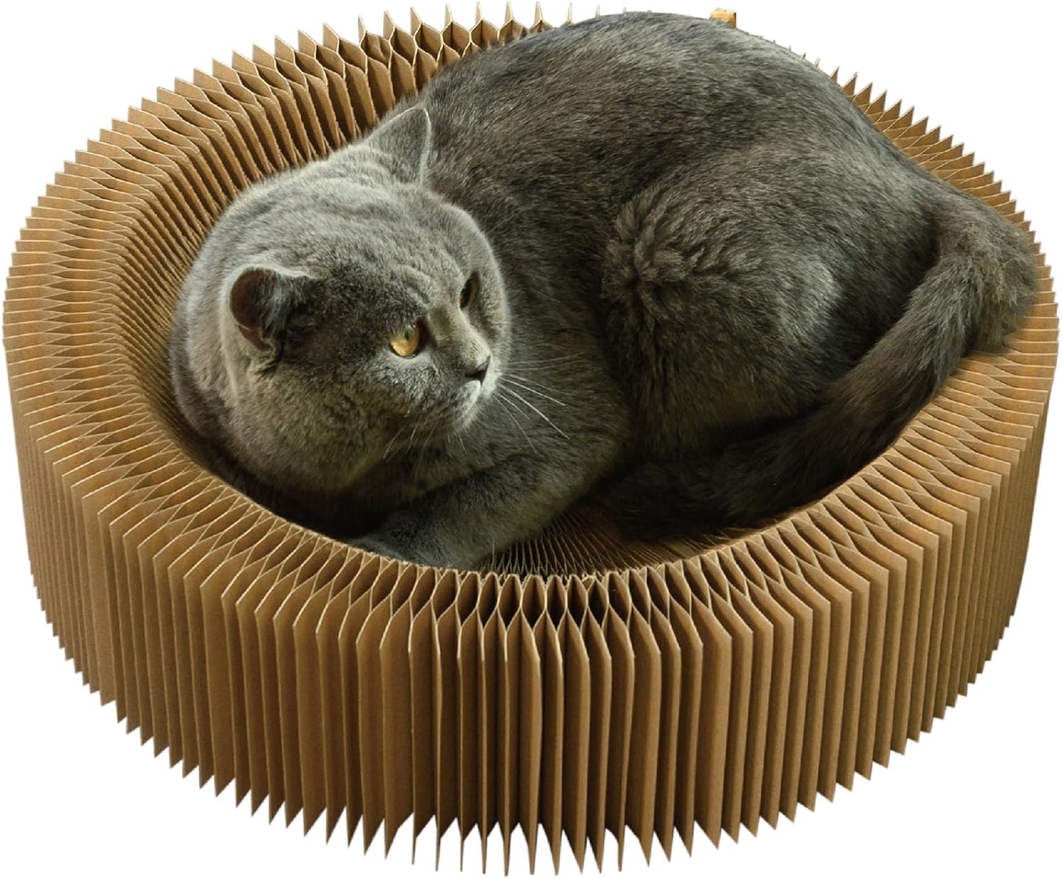 Cat Scratching Board, Foldable & Portable Round Shape Corrugated Cat Scratcher Lounge Bed, Durable Interactive Cat Scratch Pad Toys Suitable for Indoor or Travel- Unfolded Diameter 22 Inches