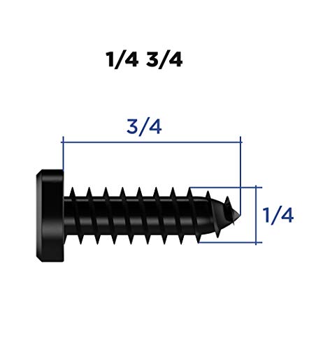 License Plate Screws 1/4-3/4, Self-tapping, Stainless Steel (Black)