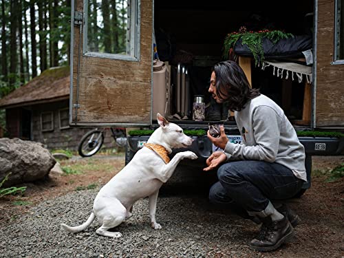 STANLEY Classic Legendary Food Jar | 1.0 QT