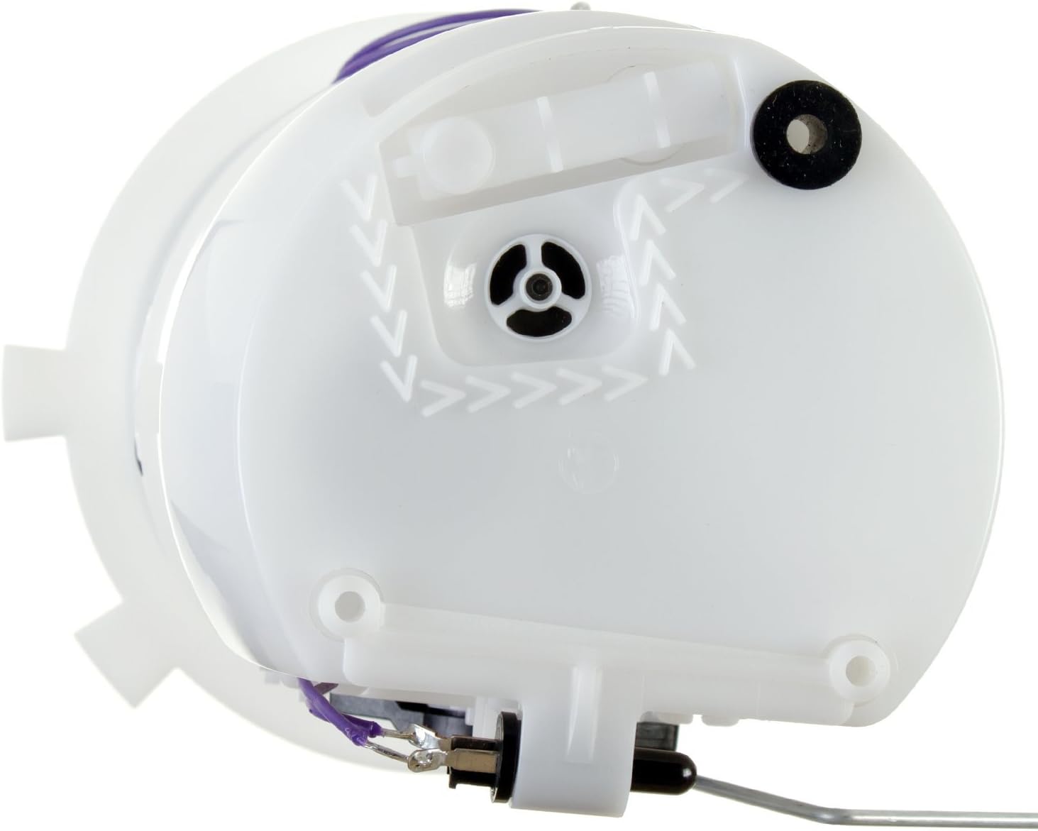 Delphi FG0986 Fuel Module