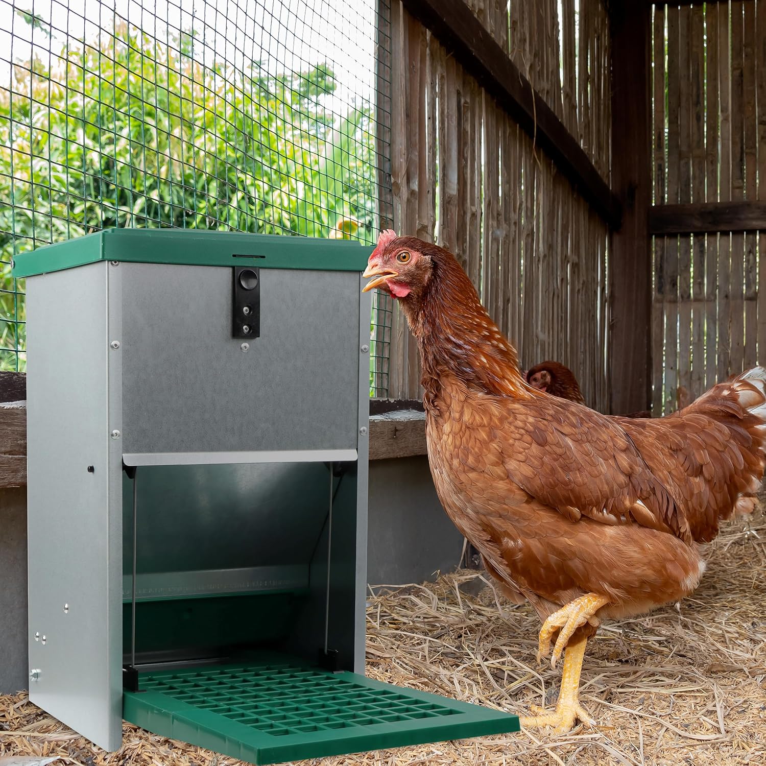Chicken Treadle Feeder - 17.6 lb. Capacity, Pressure Lever Automatic Chicken Feeder System, Pest Proof