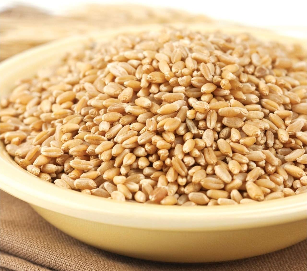 Wheat Montana - Prairie Gold Wheat Berries - 1 pack - 50lb bag