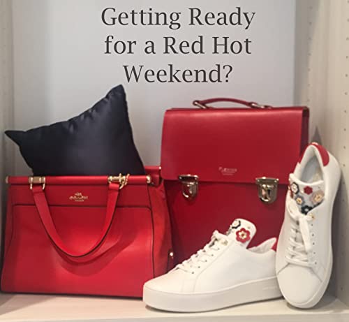 Purse Insert Pillows Set - Custom Cushioned Handbag Fillers by Fabrinique - Set of Shaper Inserts Made to Maintain Small to Large Purses - Prevents Creases and Damage (Cream, S-L, 4PC Set)