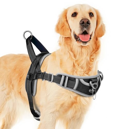 ADVENTUREMORE Dog Harness for Large Dogs No Pull, Sport Dog Halter Harness Reflective Breathable Dog Vest Escape Proof Dog Harness with Easy Control Front Clip Handle for Training Walking XL Purple