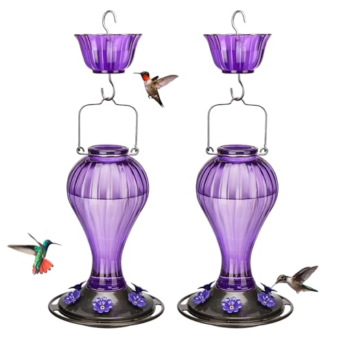 Kingsyard 2 Pack Glass Hummingbird Feeder 24 Ounces, 6 Feeding Ports, Hanging Bird Nectar Feeder for Outdoors Garden Yard Décor, Ant Moat Included, Red