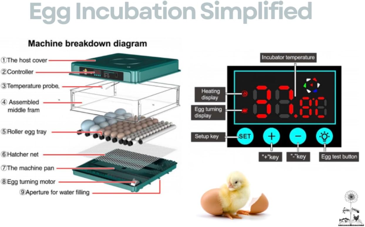 This&That Large Egg Incubator - 128 Chicken Egg Incubator, Egg Incubator with Automatic Egg Turning and Humidity Control, Egg Candler, Hygrometer, 88 Duck 70 Turkey 66 Goose 330 Quail Pheasant