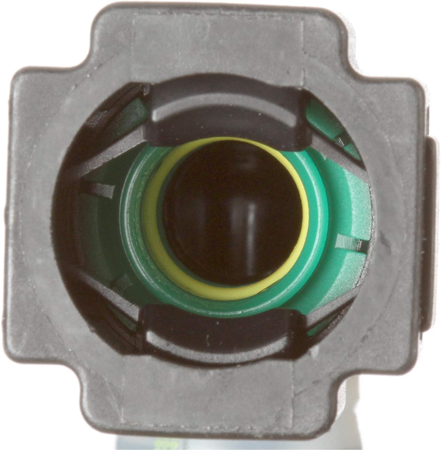 Delphi FG2167 Fuel Module