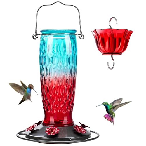 Kingsyard Glass Hummingbird Feeder for Outdoors Hanging, 24 Ounce, Humming Bird Nectar Feeder with 6 Feeding Ports & Ant Moat, Leak-Proof, Green & Red