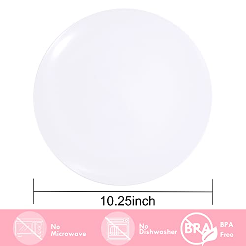Hioasis 100pcs Clear Plastic Plates & Clear Disposable Plates & 10.25 inch Clear Dinner Plates & Classy and Elegant Perfect for Wedding & Party