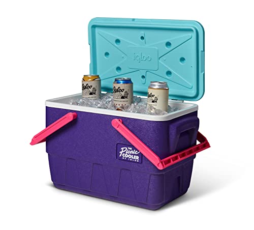 Igloo Retro Jade 25 Qt Lunch Picnic Basket Cooler
