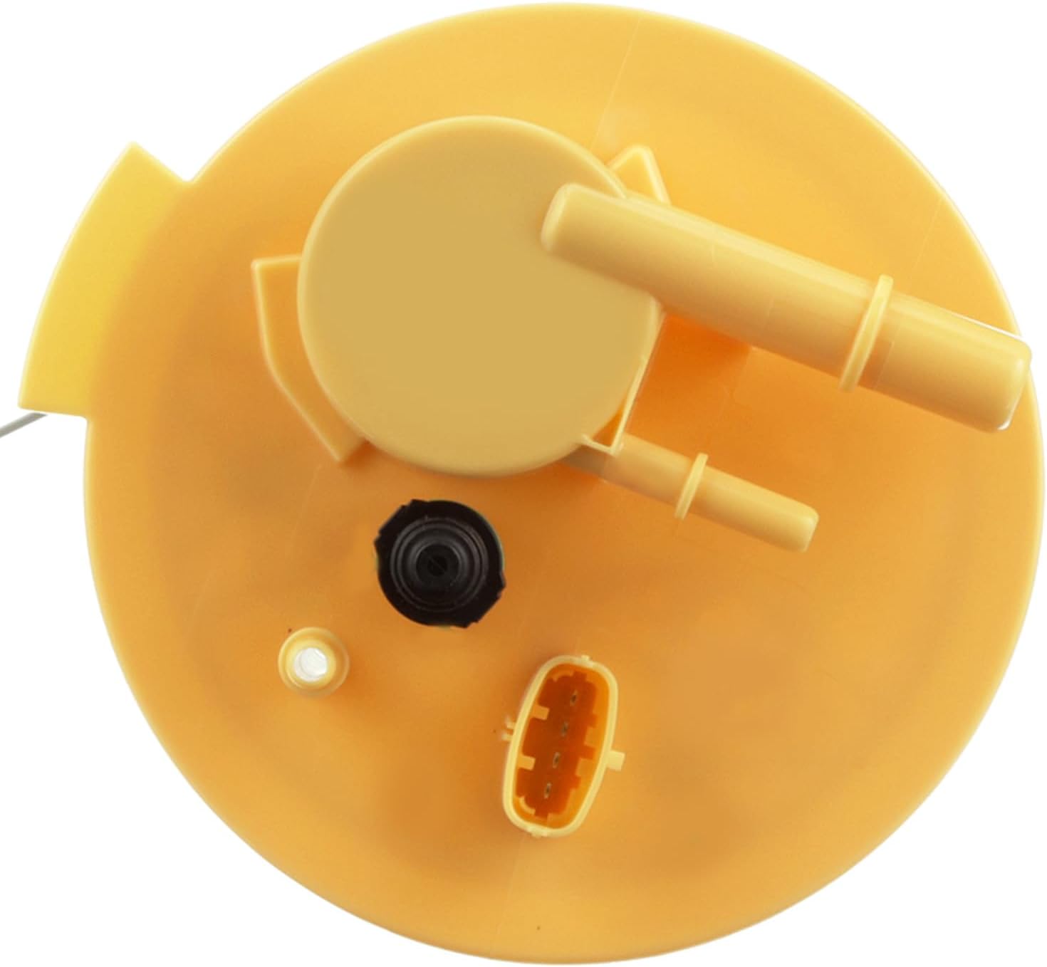 Delphi FG1981 New Fuel Module Assembly, 1 Pack