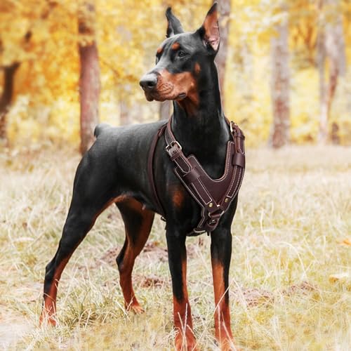 PET ARTIST Genuine Leather Dog Harness Heavy Duty Vest Soft Dog Walking Harness for Large Dogs Doberman German Shepard Rottweiler Pit