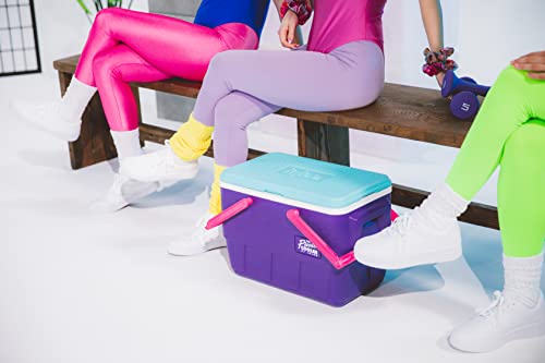 Igloo Retro Jade 25 Qt Lunch Picnic Basket Cooler