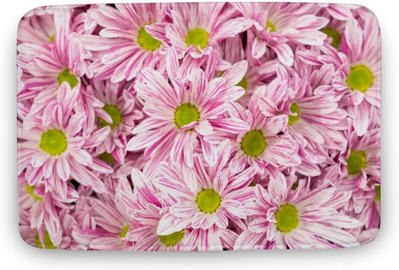 Pink Chrysanthemums Pink Flowers Door Entrance Mat Easy Clean Mat Outdoor Home Decor for Kitchen Bathroom Garage 16X24Inch