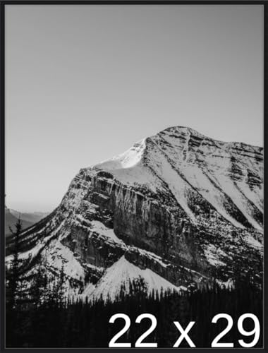 22 3/4 x 29 Satin Black Metal Frame (Ashford) 22.7x29 inches