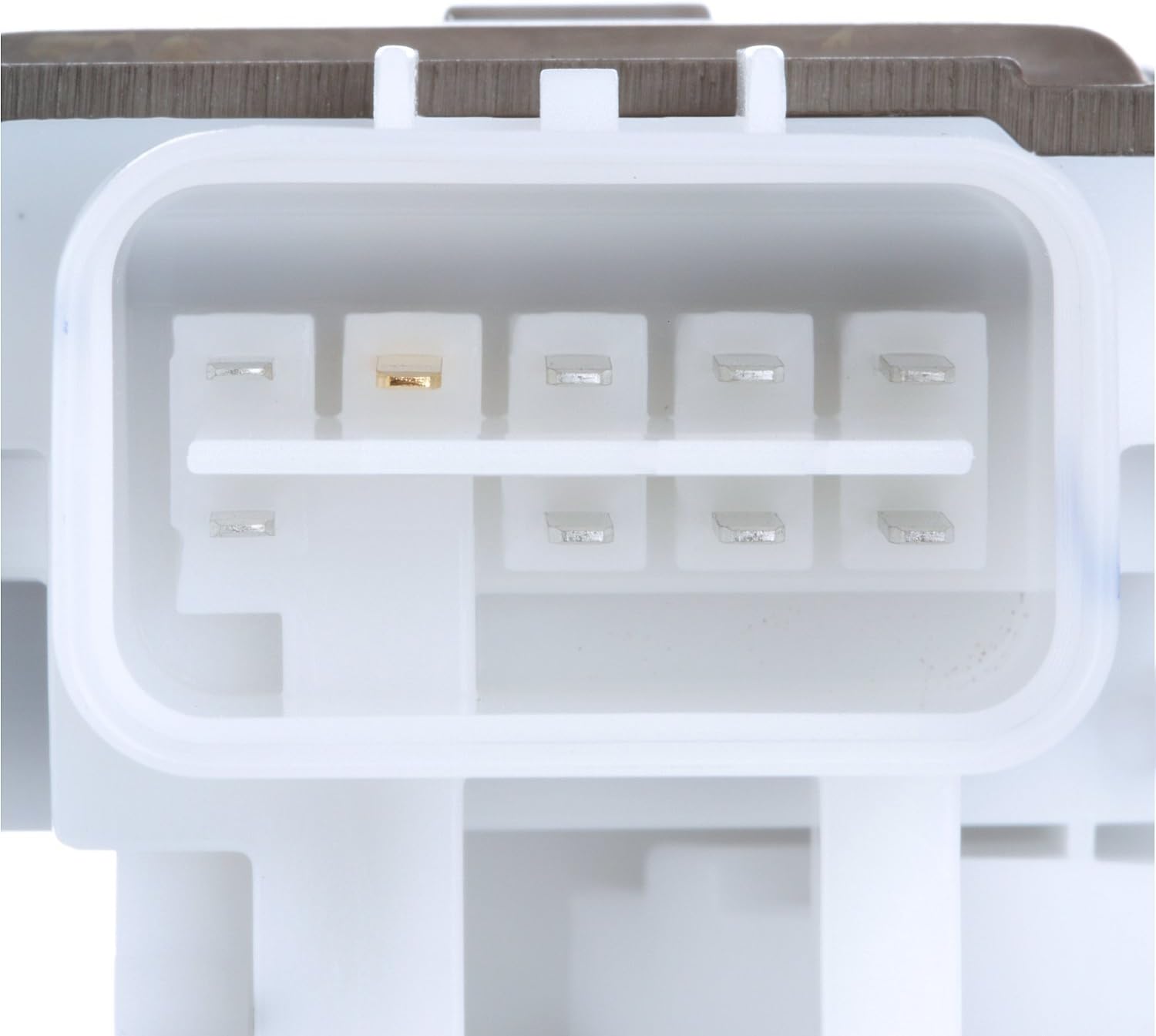 Delphi FG1974 New Fuel Module Assembly, 1 Pack