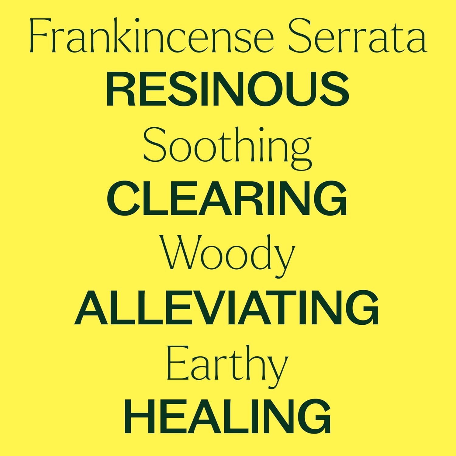 Plant Therapy Frankincense Serrata Essential Oil 100% Pure, Undiluted, Natural Aromatherapy, Therapeutic Grade 30 mL (1 oz)