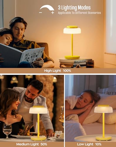 QiMH Battery Operated LED Table Lamp, 2 Pack 5000mAh Cordless Desk Lamp with 3 Level Brightness Touch Control, Mini Rechargeable Night Light for Living Room, Bedroom, Outdoor bar (Gold)
