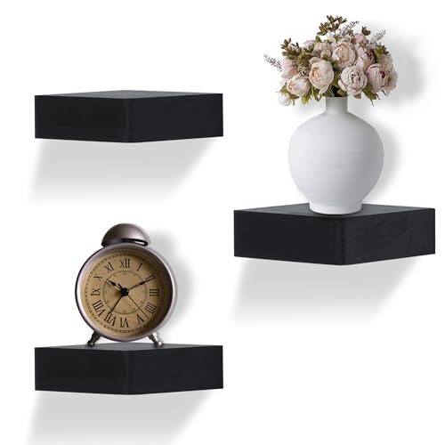 Small Floating Shelf for Wall,5 Inch Mini Wall Shelf,Display Plant Collectibles for Kitchen Bathroom Bedroom Living Room(Black)