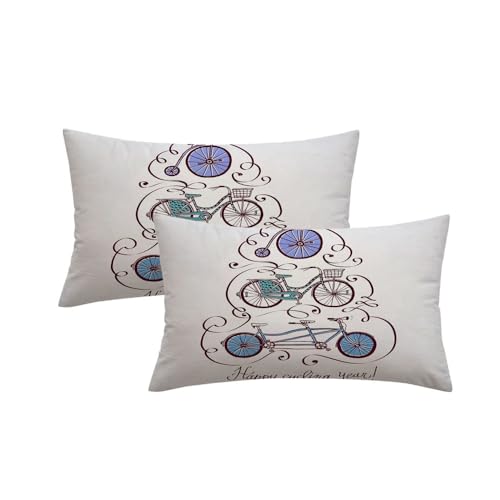 Set of 2 Velvet Decorative Square Throw Pillow Cover Colorful Basket Vintage Bicycle Holidays Bike Cruiser Parks Fashioned Old Tandem Christmas City Cushion Cover for 20x20 Inch Couch Bed Car