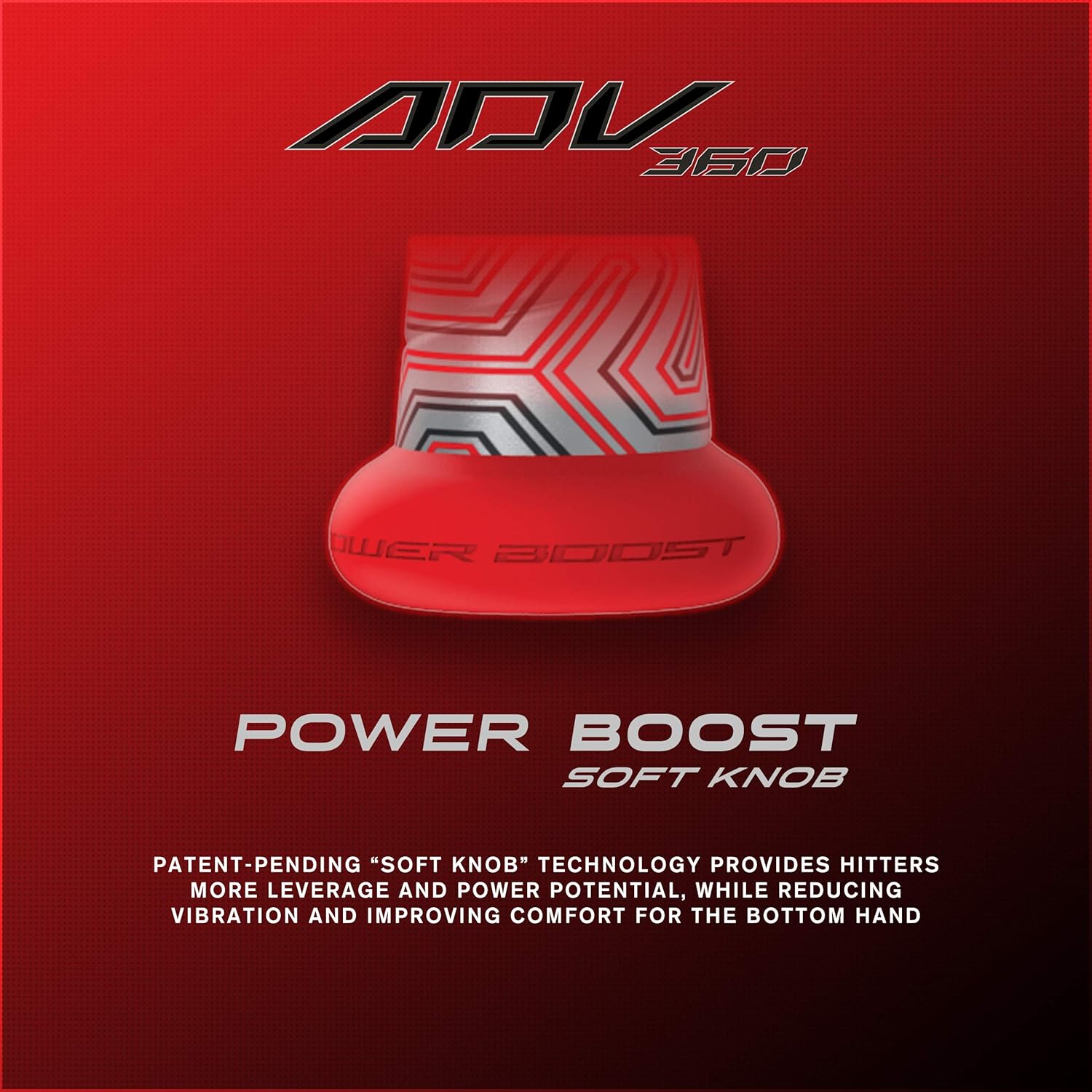 EASTON ADV 360 -10 USSSA Baseball Bat, 2 3/4 Barrel, 31/21, SL20ADV10