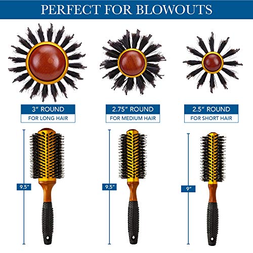 Large Round Blow Dry Brush - Boar Bristle, Thermal Ceramic Barrel, Professional Anti-Static Roller Hair Brush for Styling and Blow Drying – 20 Row, For Long Hair - By Cantor