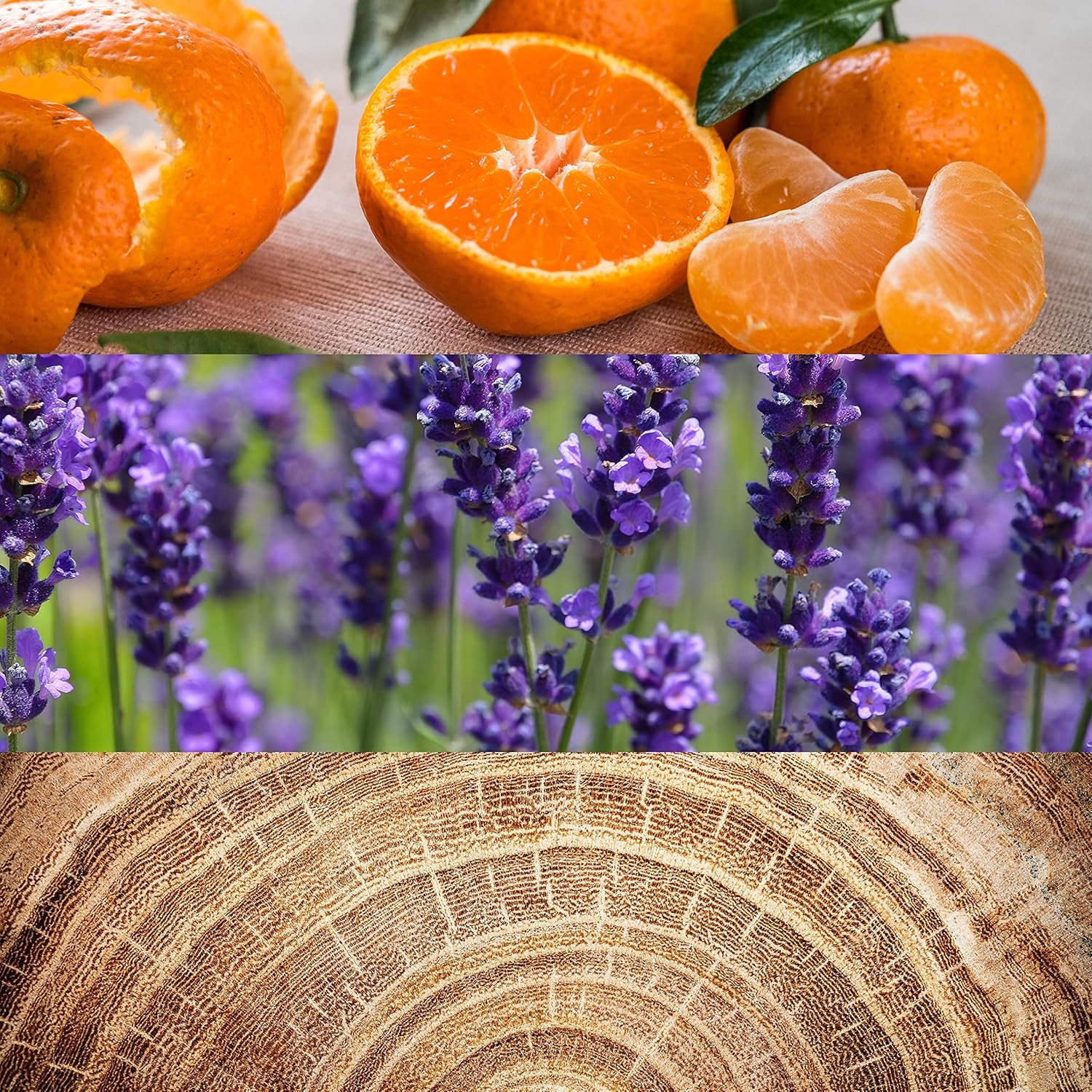 Calvin Klein Men's 3-Pc. Obsession Gift Set