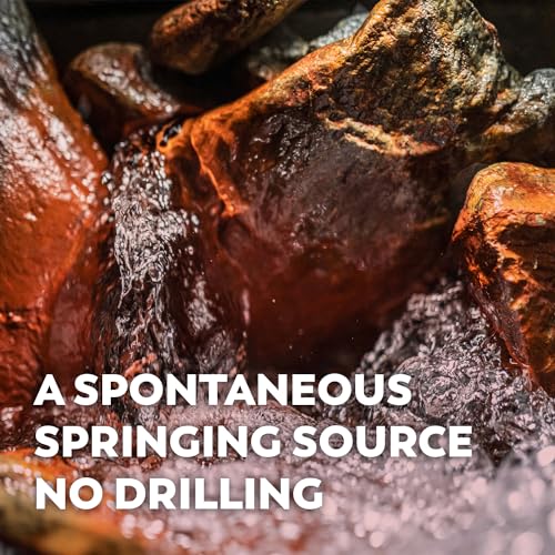 BONNEVAL Natural Sparkling Water. Mineral water from the French Alps. Recycled water bottles 6 pack, 33.8 FL OZ