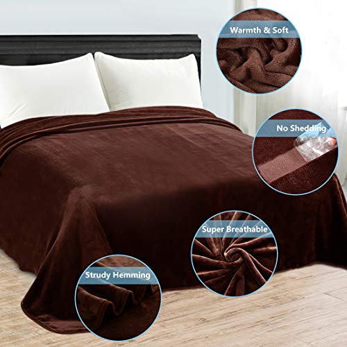 LEISURE TOWN Fleece Blanket Queen Size Fuzzy Soft Plush Blanket 330GSM for All Season Spring Summer Autumn Throws for Couch Bed Sofa, 90 by 90 Inches, Smoky Grey