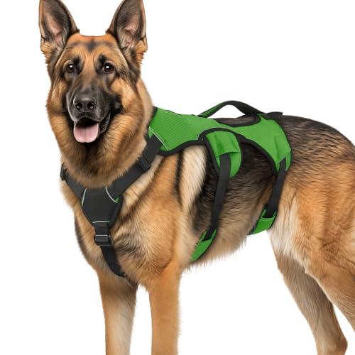 rabbitgoo Escape Proof Dog Harness, Soft Padded Full Body Pet Harness, Reflective Adjustable No Pull Vest with Lift Handle and Leash Clip for Large Dogs Walking Hiking Training, S, Black