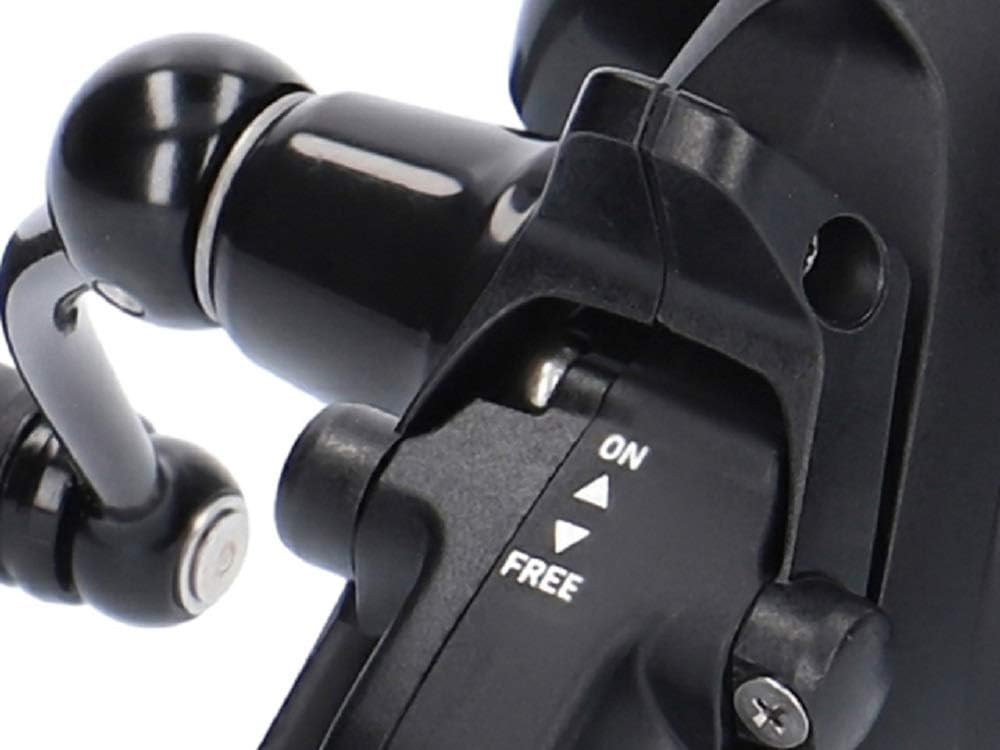 Daiwa 19 Black Widow BR LT 3000 Reel - 19BWBRLT3000