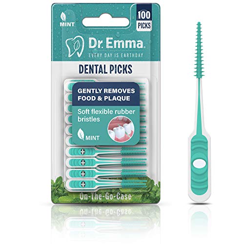 Dental Picks Mint Brush Picks 100Ct/Pack, 2 Packs (200Ct)