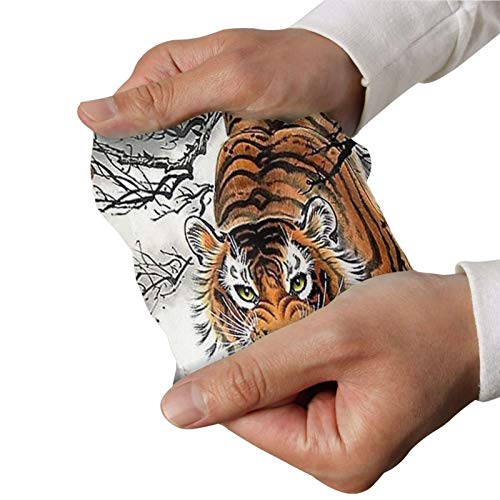 NiYoung Men Women UV Protection Cooling Arm Sleeves Sun Sleeves Arm Cover Sleeves