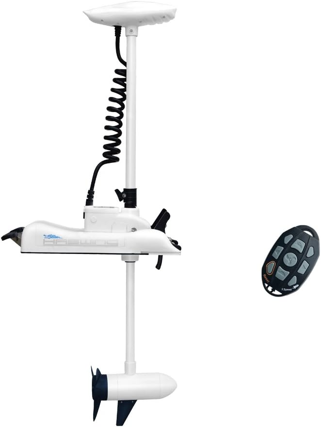 White Haswing 12V 55LBS 48