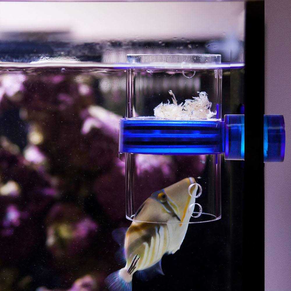 Innovative Marine Gourmet Defroster Pro Magnetic Frozen Food Feeder - Pet Supplies online store