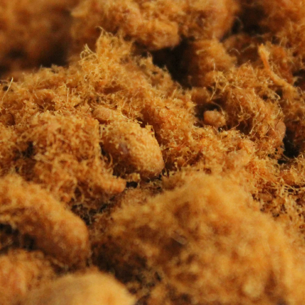 Kimbo Brand Pork Sung Cooked Dried Pork, Cooked Dried Pork 18 oz (1LB. 2 ounces.)