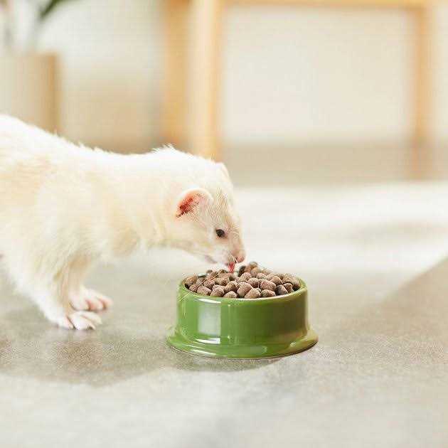 Mazuri Ferret Diet - Pet Supplies online store
